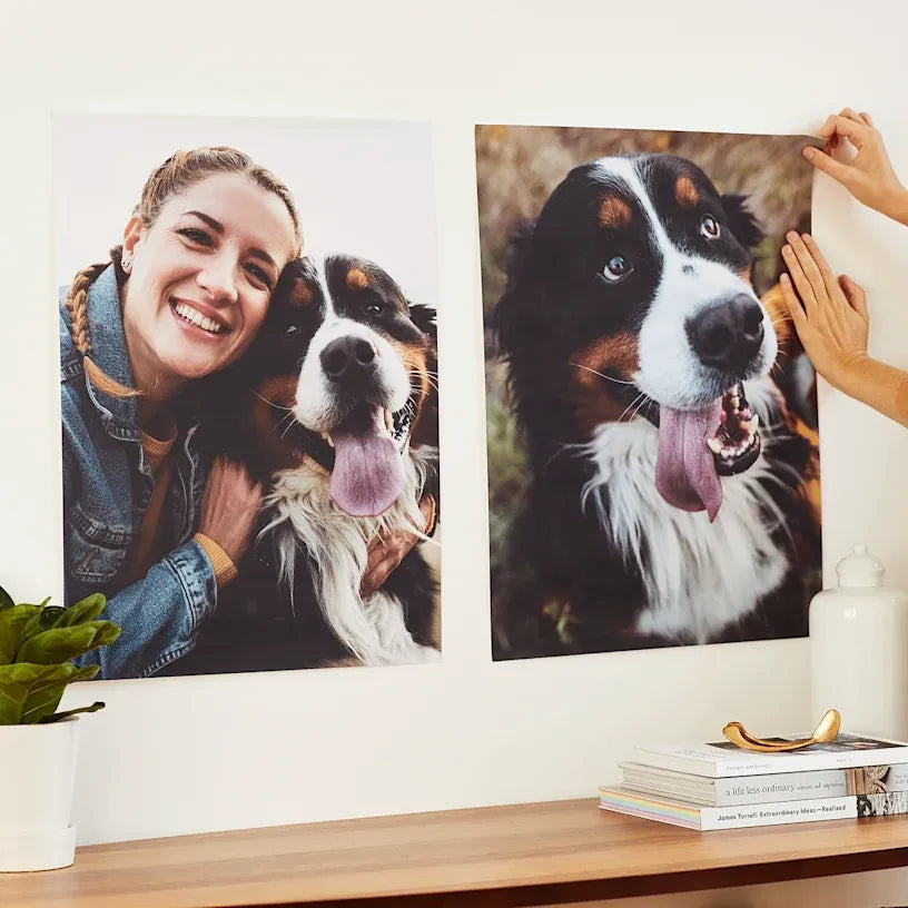 Foto póster