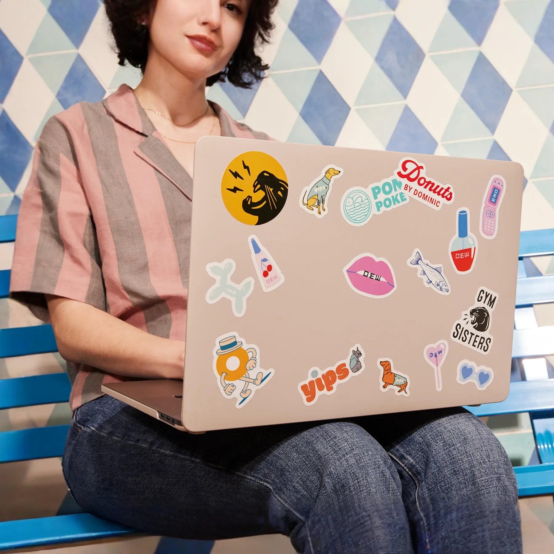 Pegatinas para portátil