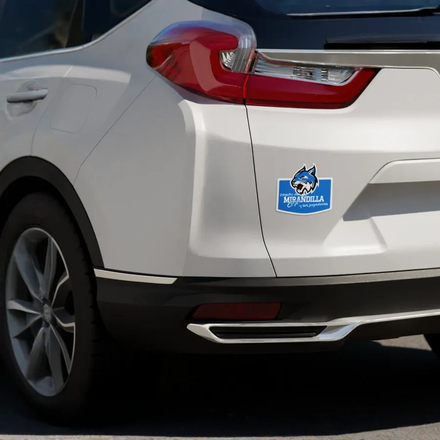 Pegatinas para coche