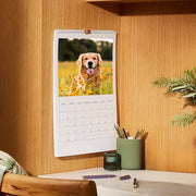 Calendarios de pared