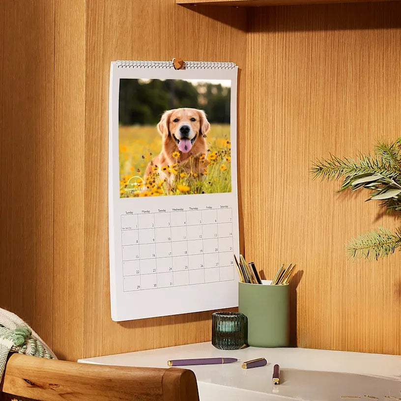 Calendarios de pared